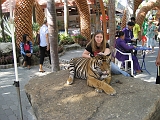 Me and a Tiger02